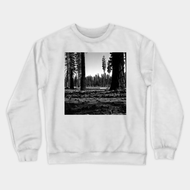 Near Hetch-Hetchy in Yosemite N.P. Crewneck Sweatshirt by rodneyj46